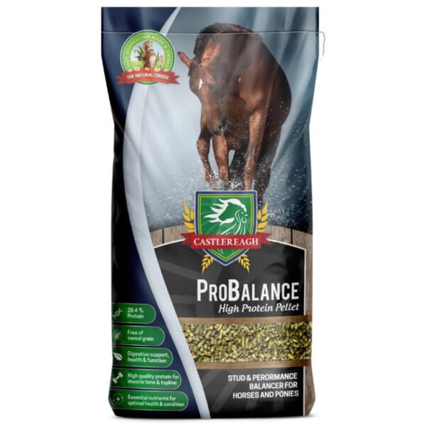 CASTLEREAGH PROBALANCE 20KG