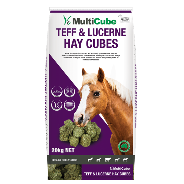MULTICUBE TEFF HAY AND LUCERNE CUBES 20KG