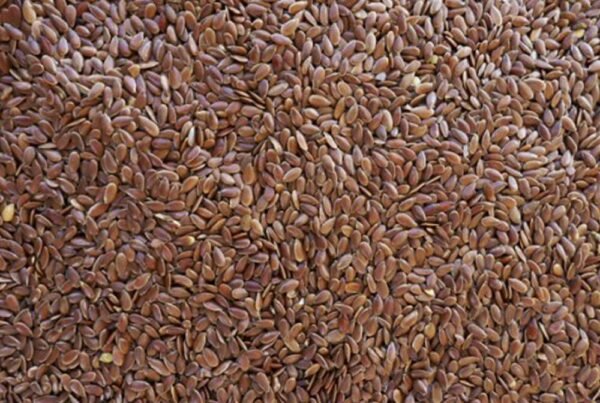 HUNTERS WHOLE LINSEED 20KG
