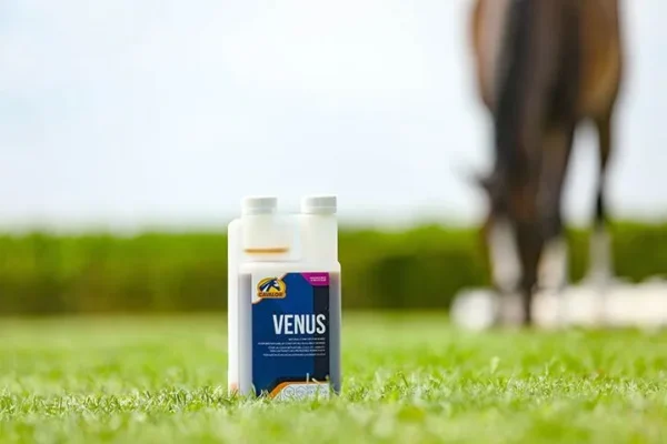CAVALOR VENUS 500ML