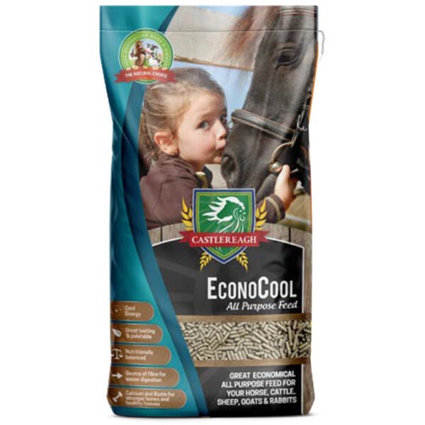 CASTLEREAGH ECONOCOOL 20KG